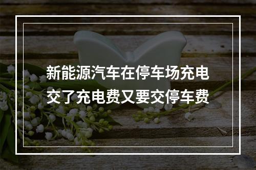 新能源汽车在停车场充电交了充电费又要交停车费