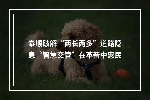 泰顺破解“两长两多”道路隐患“智慧交管”在革新中惠民