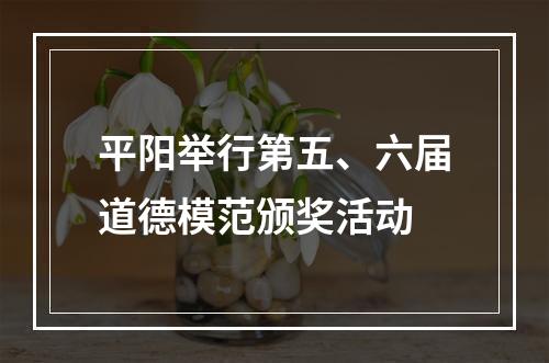 平阳举行第五、六届道德模范颁奖活动