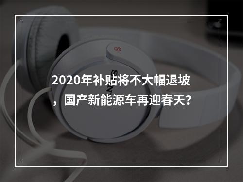 2020年补贴将不大幅退坡，国产新能源车再迎春天？