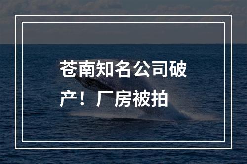 苍南知名公司破产！厂房被拍