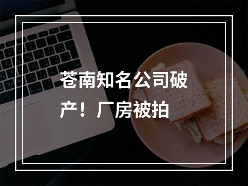 苍南知名公司破产！厂房被拍