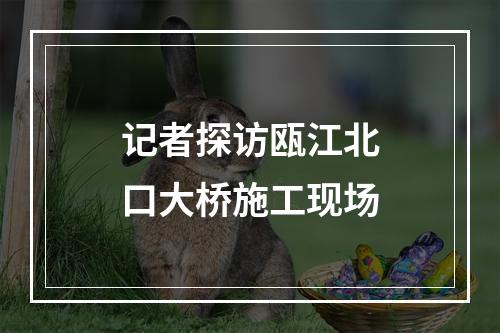 记者探访瓯江北口大桥施工现场