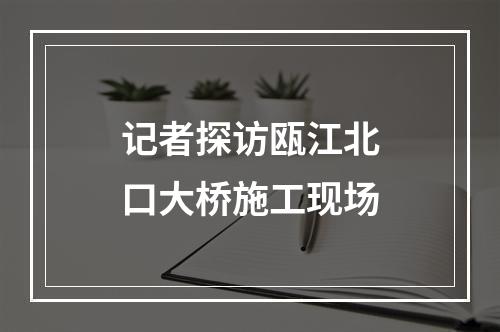 记者探访瓯江北口大桥施工现场