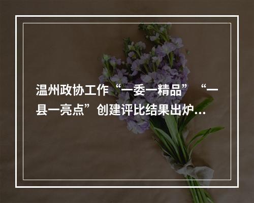 温州政协工作“一委一精品”“一县一亮点”创建评比结果出炉！