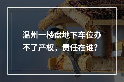 温州一楼盘地下车位办不了产权，责任在谁？