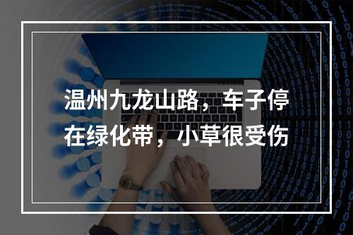 温州九龙山路，车子停在绿化带，小草很受伤