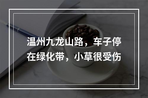 温州九龙山路，车子停在绿化带，小草很受伤