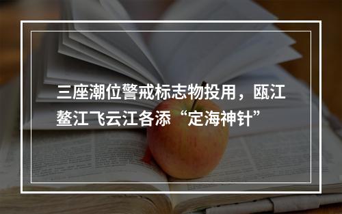 三座潮位警戒标志物投用，瓯江鳌江飞云江各添“定海神针”