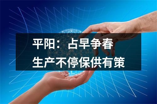 平阳：占早争春 生产不停保供有策