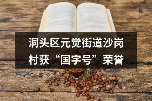洞头区元觉街道沙岗村获“国字号”荣誉