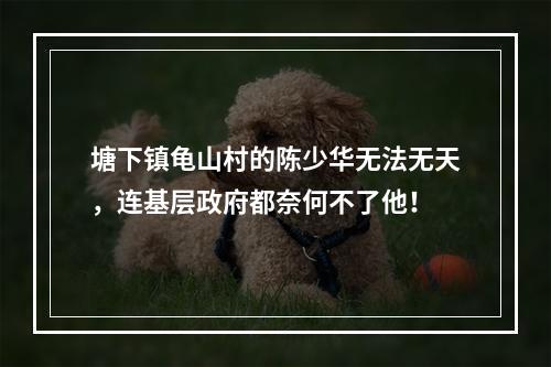 塘下镇龟山村的陈少华无法无天，连基层政府都奈何不了他！