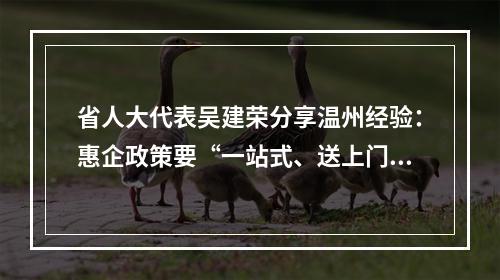 省人大代表吴建荣分享温州经验：惠企政策要“一站式、送上门”