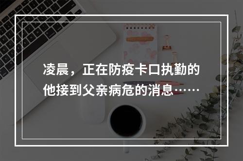 凌晨，正在防疫卡口执勤的他接到父亲病危的消息……