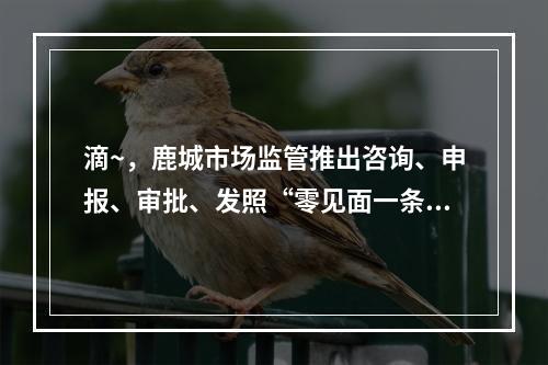 滴~，鹿城市场监管推出咨询、申报、审批、发照“零见面一条龙”，帮扶企业 ...