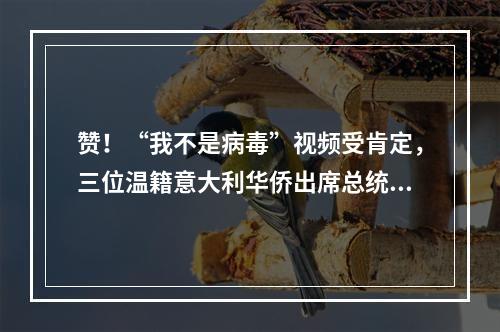 赞！“我不是病毒”视频受肯定，三位温籍意大利华侨出席总统府音乐会