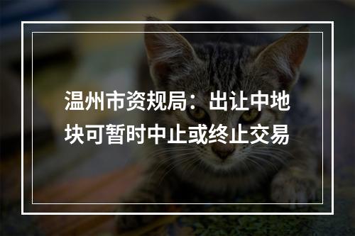温州市资规局：出让中地块可暂时中止或终止交易