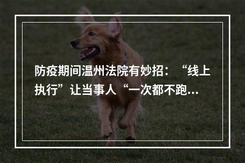 防疫期间温州法院有妙招：“线上执行”让当事人“一次都不跑”