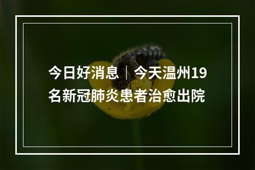 今日好消息｜今天温州19名新冠肺炎患者治愈出院