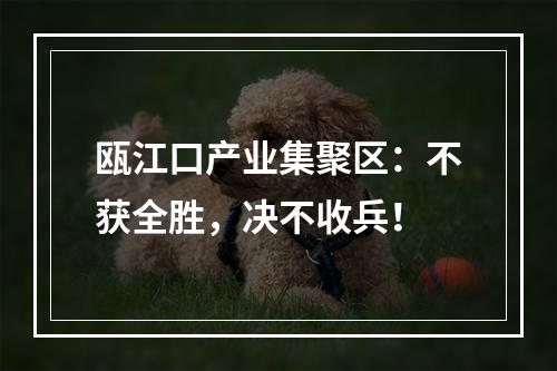 瓯江口产业集聚区：不获全胜，决不收兵！