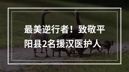 最美逆行者！致敬平阳县2名援汉医护人