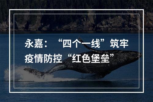 永嘉：“四个一线”筑牢疫情防控“红色堡垒”