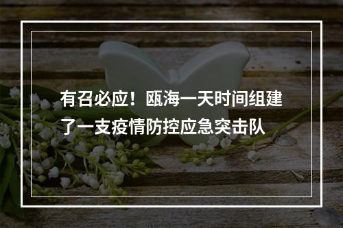 有召必应！瓯海一天时间组建了一支疫情防控应急突击队