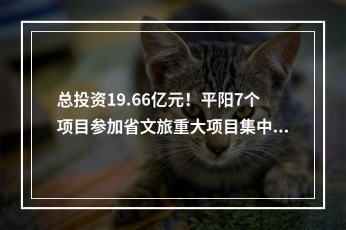 总投资19.66亿元！平阳7个项目参加省文旅重大项目集中开工