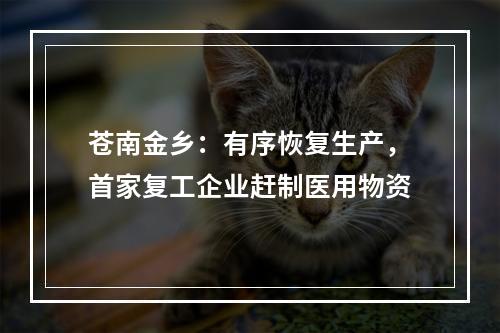 苍南金乡：有序恢复生产，首家复工企业赶制医用物资