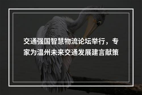交通强国智慧物流论坛举行，专家为温州未来交通发展建言献策