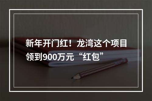 新年开门红！龙湾这个项目领到900万元“红包”