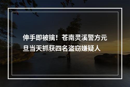 伸手即被擒！苍南灵溪警方元旦当天抓获四名盗窃嫌疑人