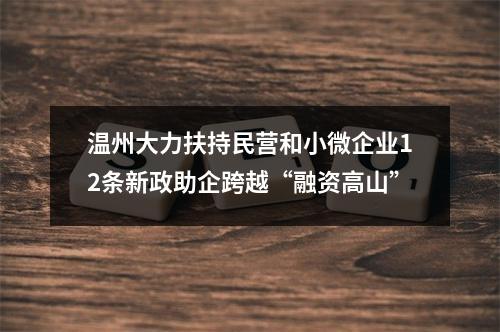 温州大力扶持民营和小微企业12条新政助企跨越“融资高山”