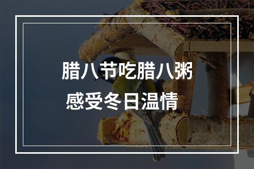 腊八节吃腊八粥 感受冬日温情