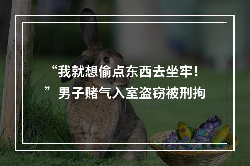 “我就想偷点东西去坐牢！”男子赌气入室盗窃被刑拘