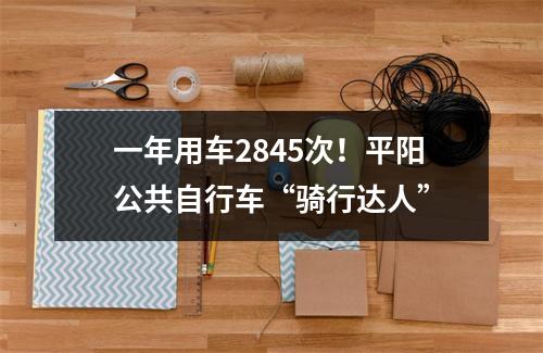 一年用车2845次！平阳公共自行车“骑行达人”