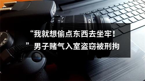 “我就想偷点东西去坐牢！”男子赌气入室盗窃被刑拘
