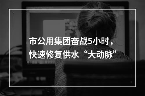 市公用集团奋战5小时，快速修复供水“大动脉”