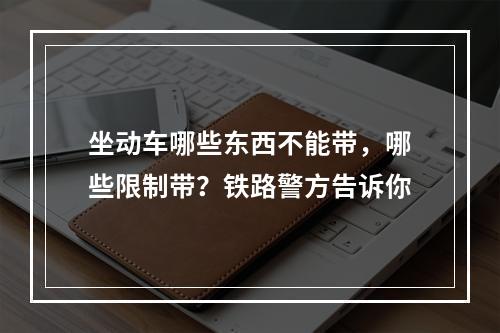 坐动车哪些东西不能带，哪些限制带？铁路警方告诉你