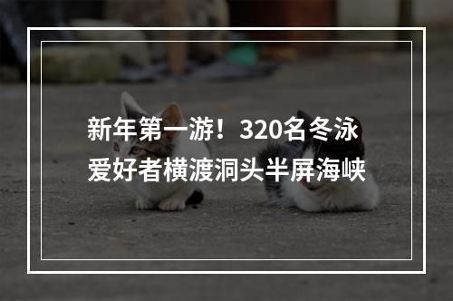 新年第一游！320名冬泳爱好者横渡洞头半屏海峡