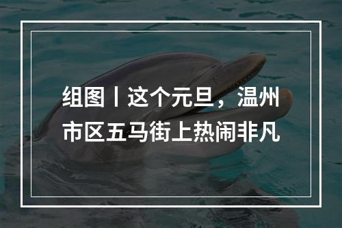 组图丨这个元旦，温州市区五马街上热闹非凡