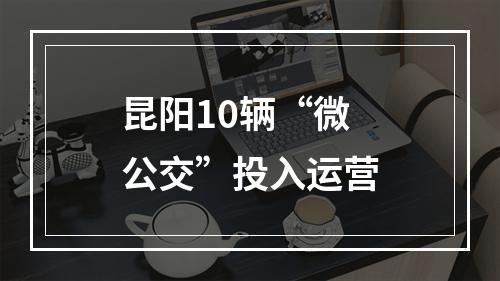 昆阳10辆“微公交”投入运营