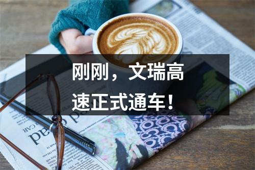 刚刚，文瑞高速正式通车！