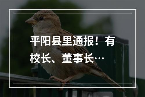平阳县里通报！有校长、董事长…