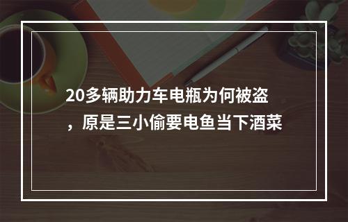 20多辆助力车电瓶为何被盗，原是三小偷要电鱼当下酒菜