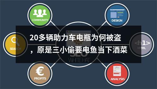 20多辆助力车电瓶为何被盗，原是三小偷要电鱼当下酒菜