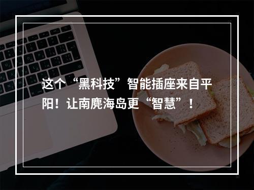这个“黑科技”智能插座来自平阳！让南麂海岛更“智慧”！