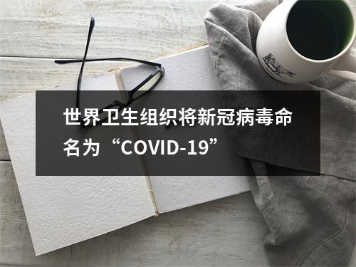 世界卫生组织将新冠病毒命名为“COVID-19”