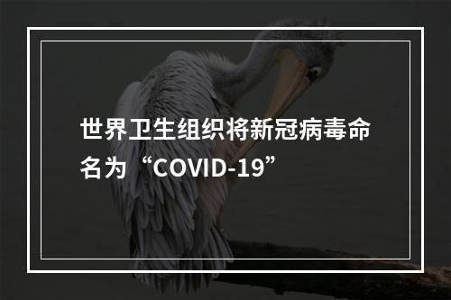 世界卫生组织将新冠病毒命名为“COVID-19”