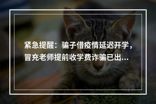 紧急提醒：骗子借疫情延迟开学，冒充老师提前收学费诈骗已出现！